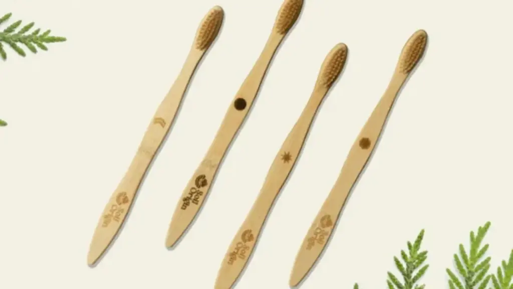 Brush Smarter: The Eco-Friendly Benefits of a Bamboo Charcoal Toothbrush 1 Bamboo Charcoal Toothbrush