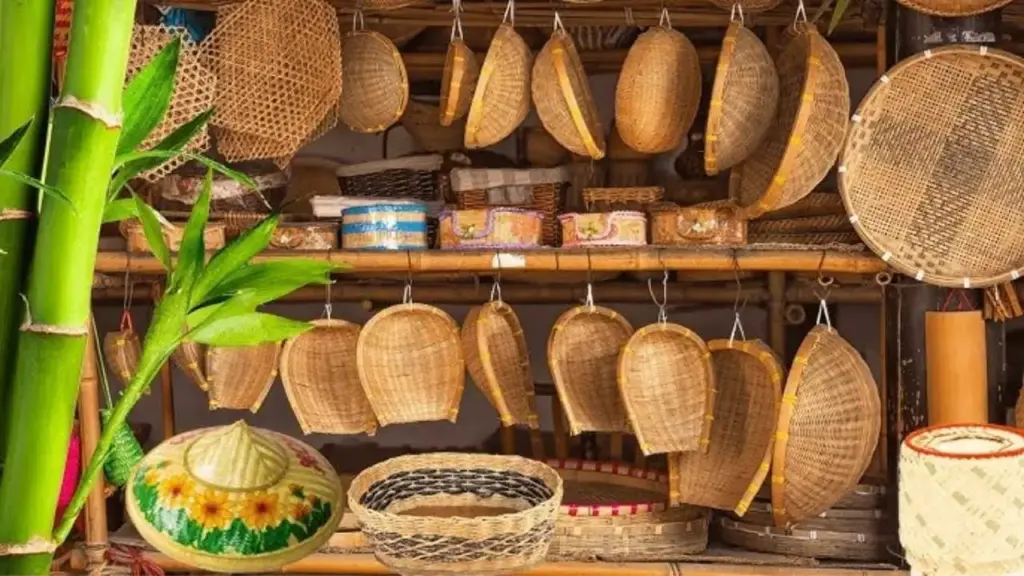 The Truth About Bamboo Products: Why They're Better for Your Home and Planet 1 The Truth About Bamboo Products