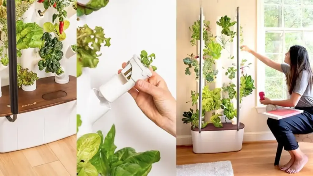 The Ultimate Guide to DIY Indoor Planting – Even Beginners Can Do It 1 The Ultimate Guide to DIY Indoor Planting