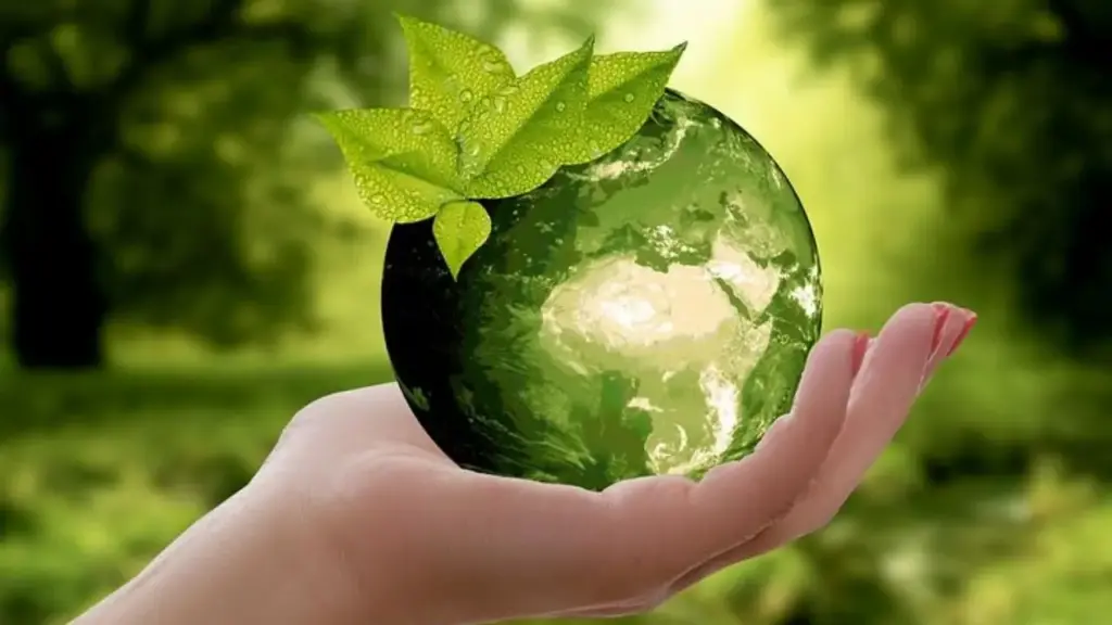 A Greener Start: Understanding the Environmental Impact of Your Morning Routine 1 the Environmental Impact of Your Morning Routine