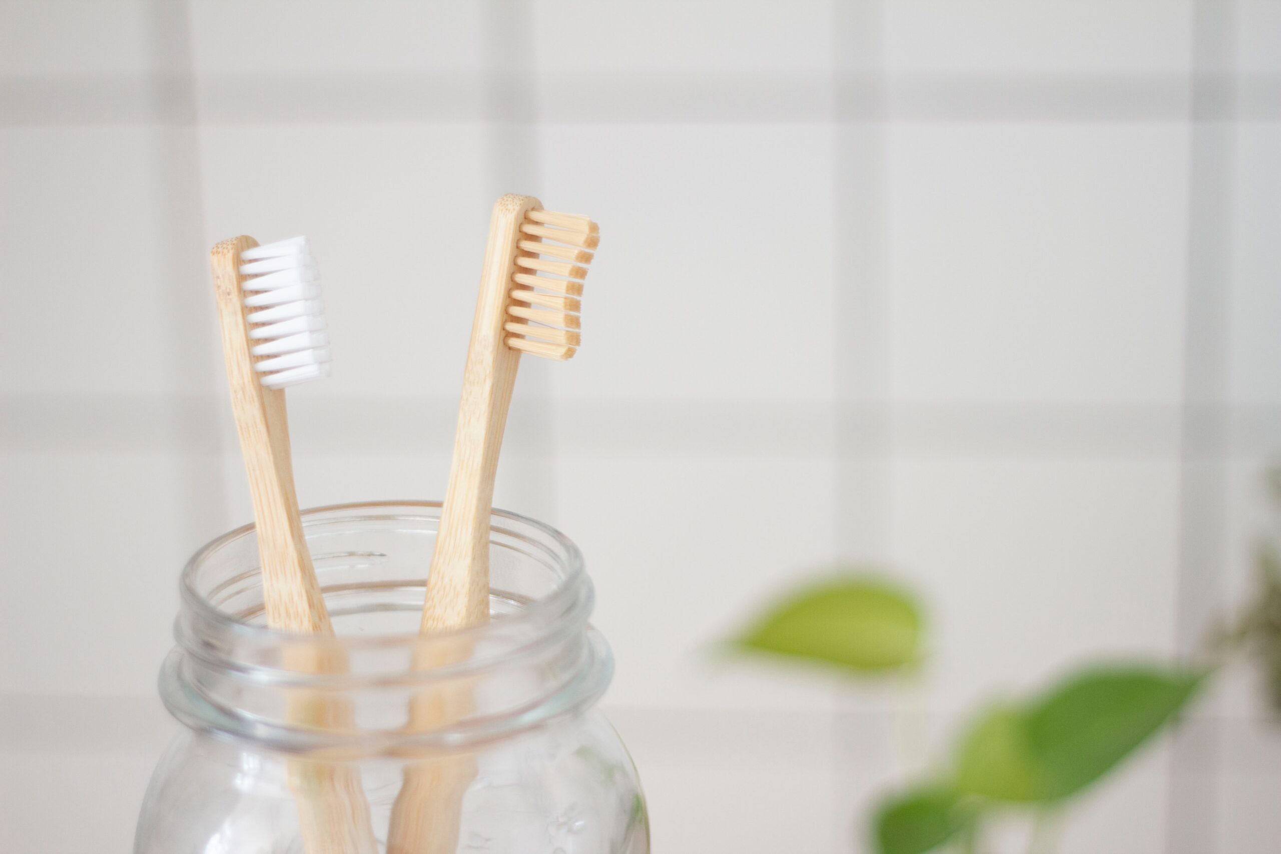 You are currently viewing Bamboo Toothbrush in India