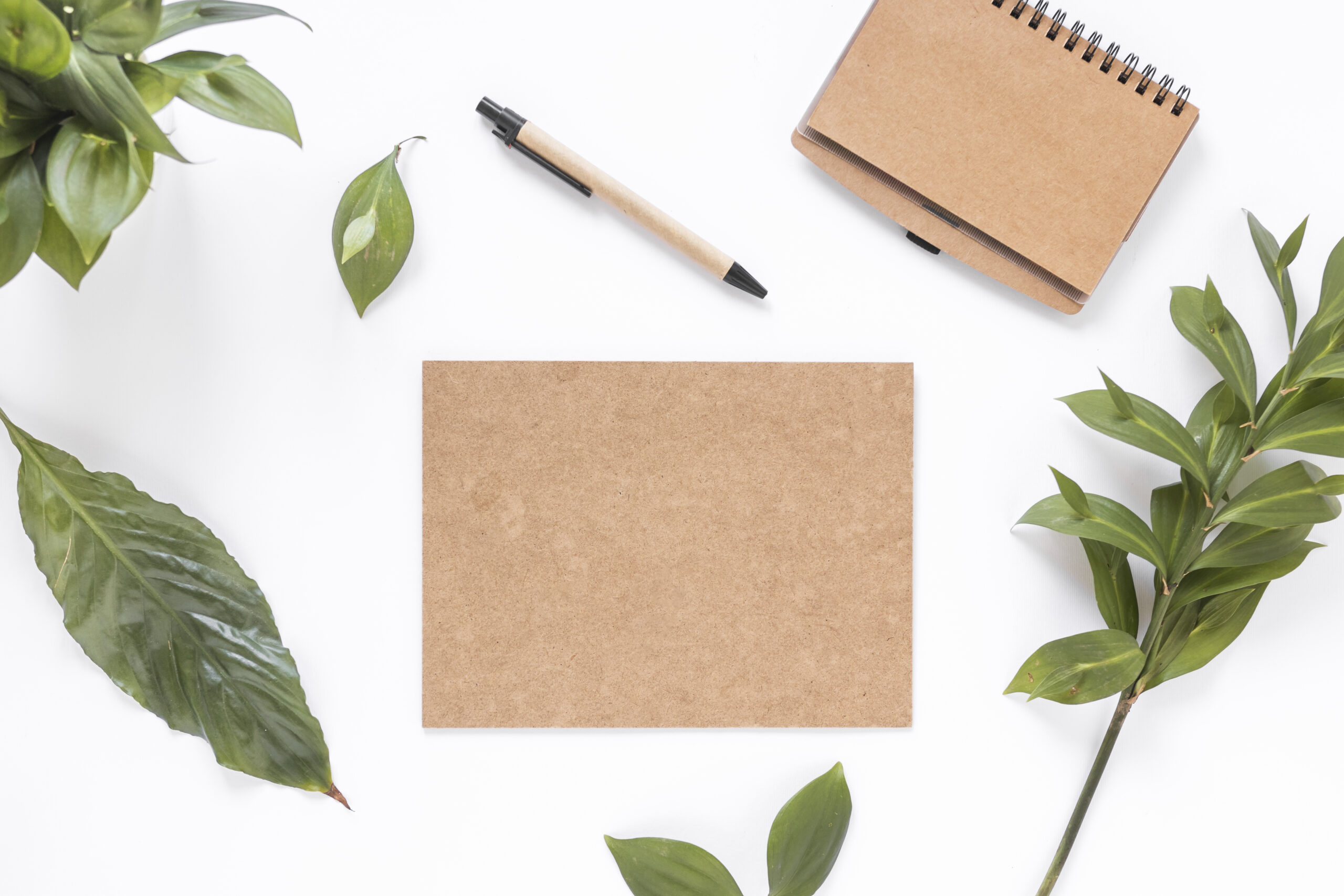 Read more about the article Eco- friendly Stationery