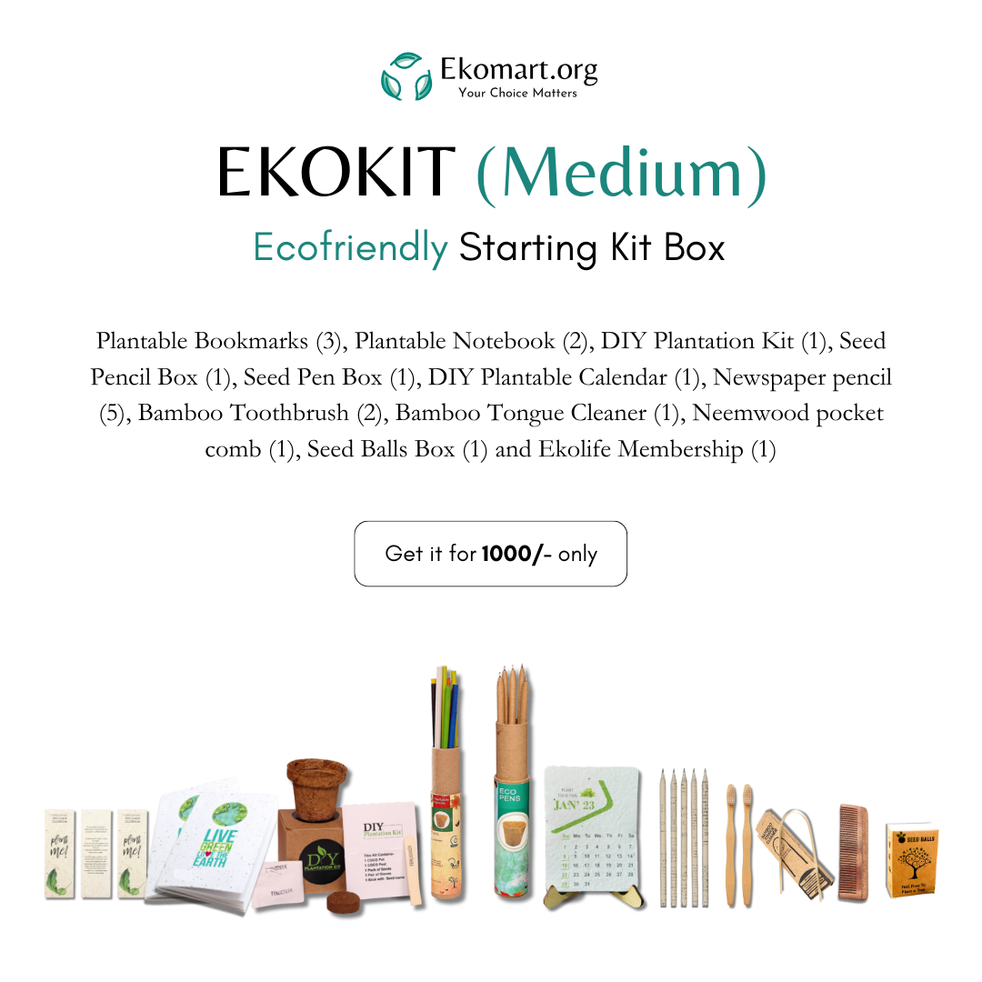 Eko-Kit : Medium
