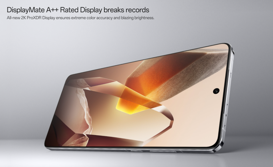 OnePlus 16 Pro 2025 Display Quantity